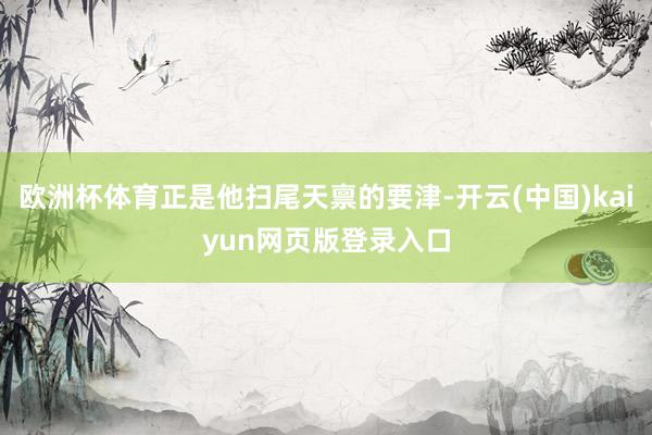 欧洲杯体育正是他扫尾天禀的要津-开云(中国)kaiyun网页版登录入口